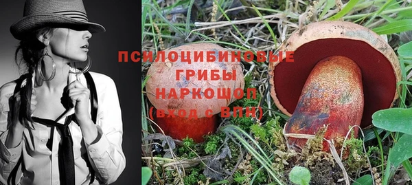 2c-b Володарск