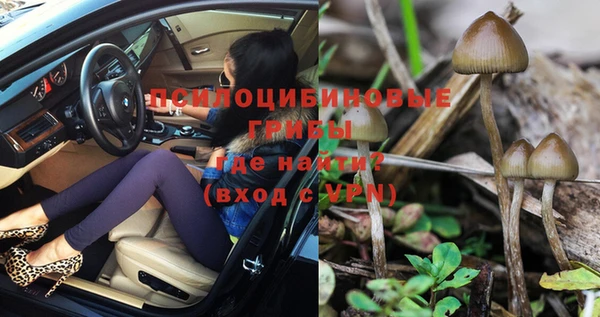 ГАЛЛЮЦИНОГЕННЫЕ ГРИБЫ Волоколамск