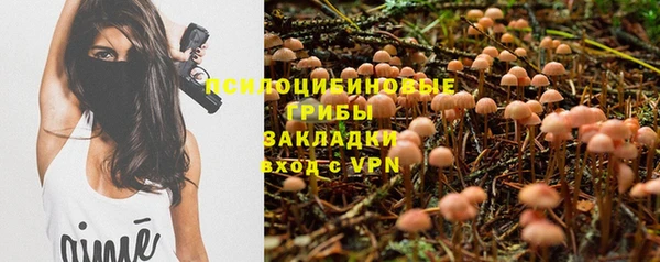 ГАЛЛЮЦИНОГЕННЫЕ ГРИБЫ Волоколамск