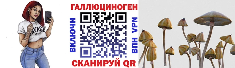 Купить  Лесной  Галлюциногенные грибы ЛСД 