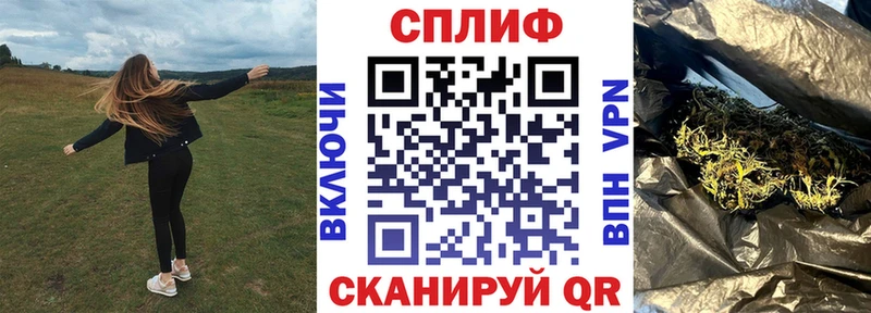 Канабис семена  Купить закладки  Лесной 